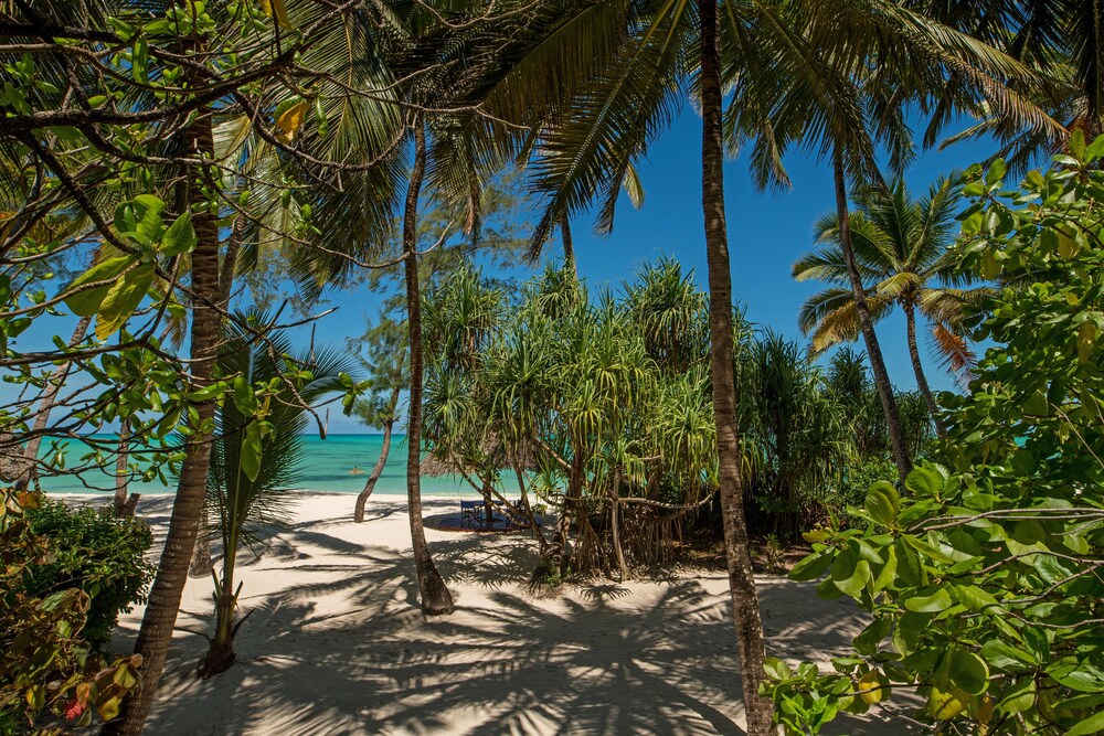 Beach/Ocean View