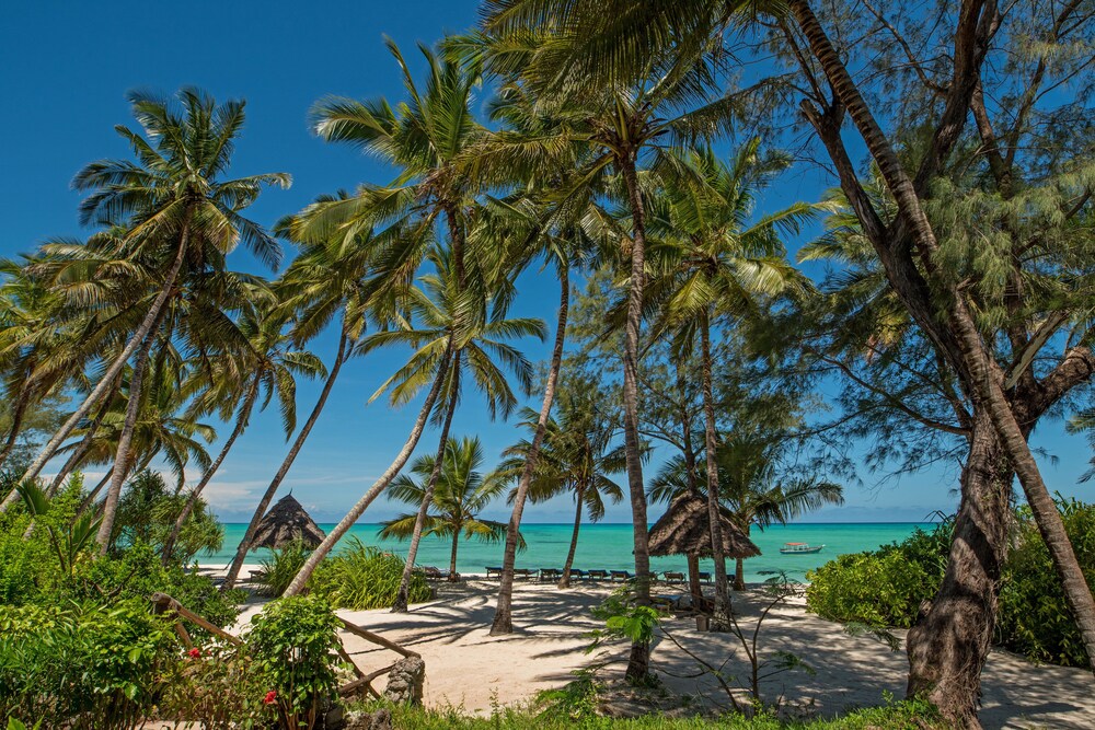 Beach/Ocean View