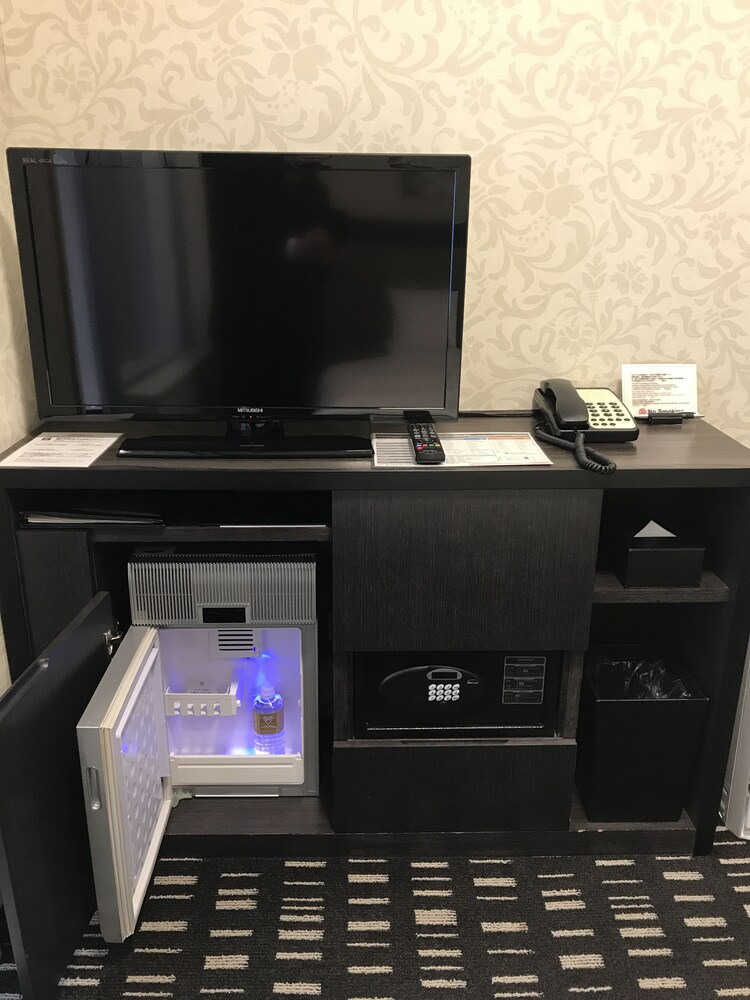 Mini-Refrigerator