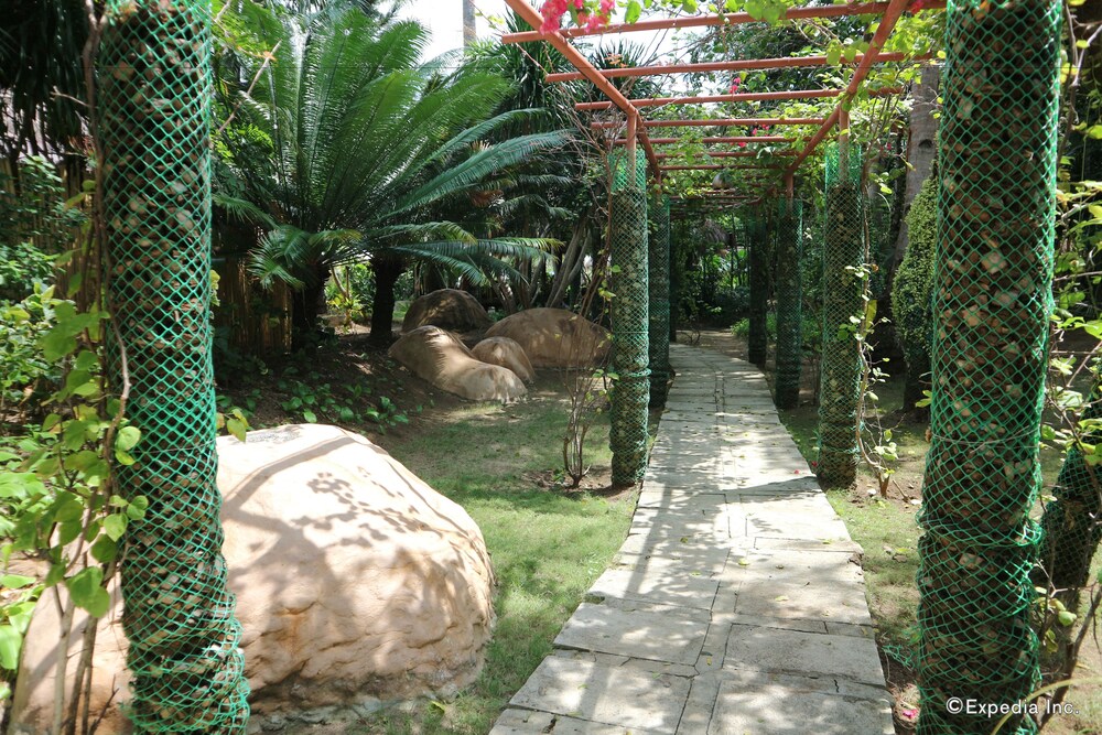 庭園