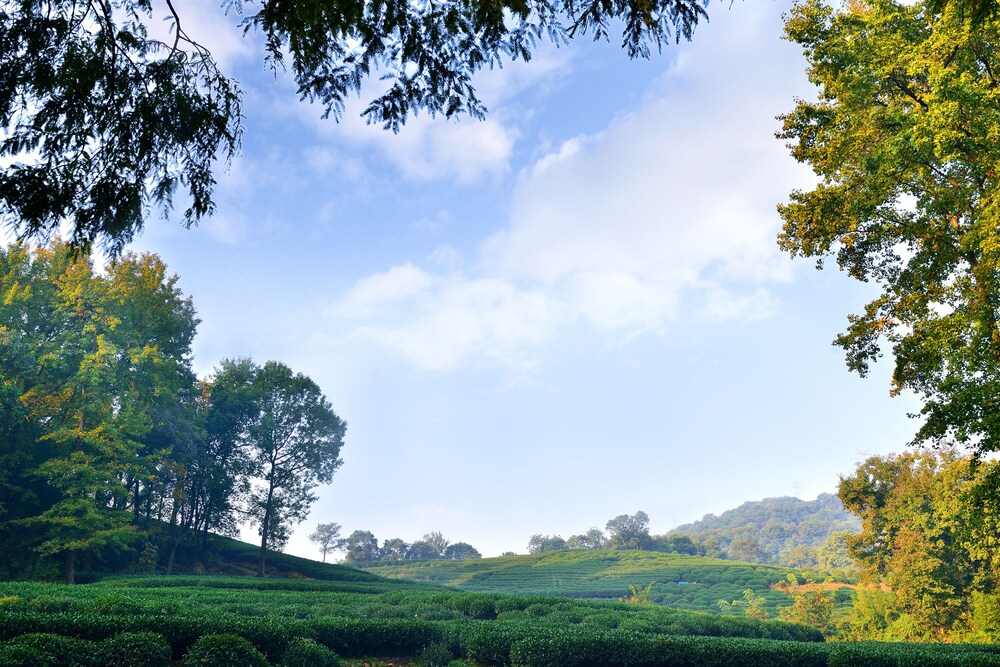 산 전망