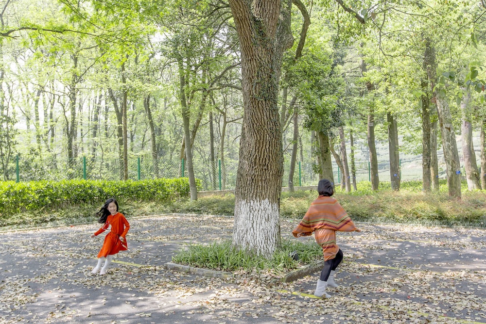정원 전망