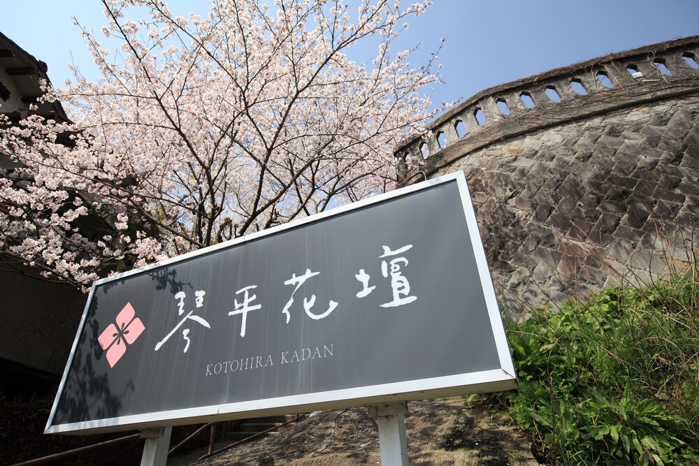 外観の詳細