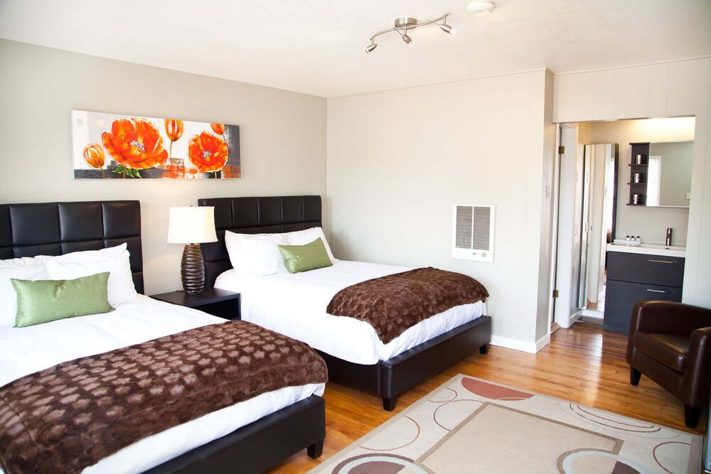 Standard Room, 2 Double Beds (Dog Friendly) - Room