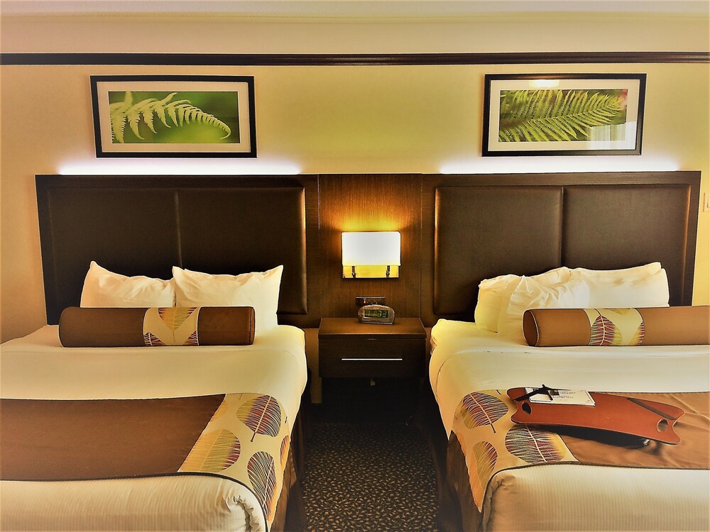 Guestroom View