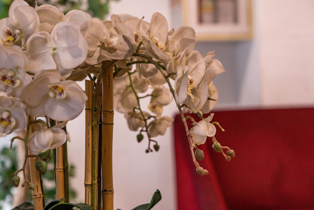 Hotel Interior