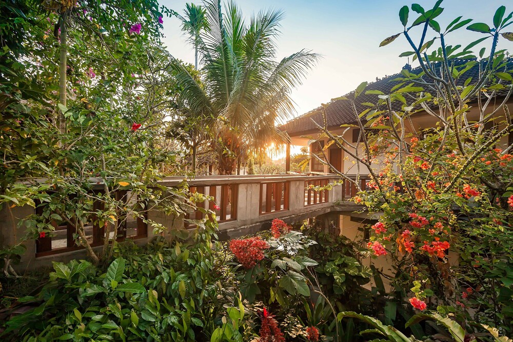 วิวสวน