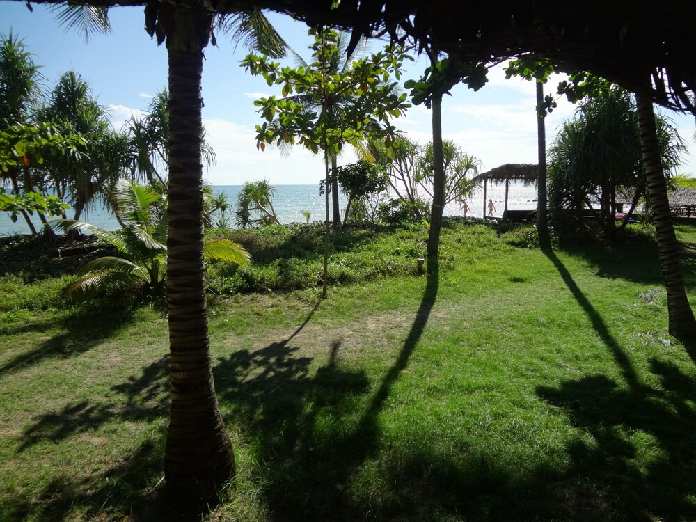 Guestroom View