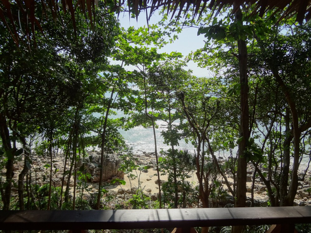 Guestroom View