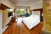 Premier Room