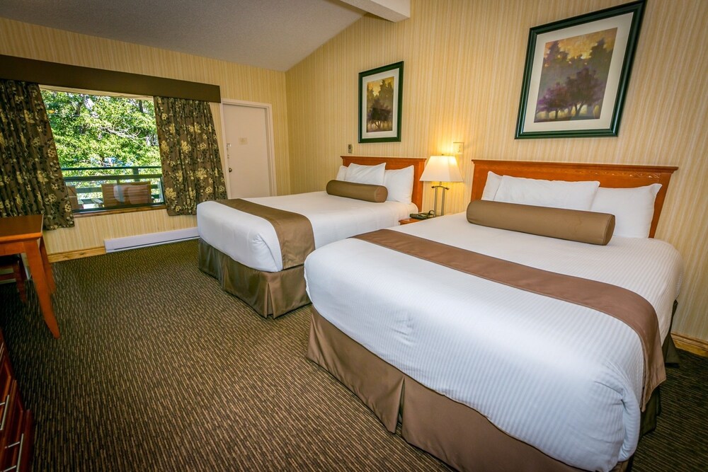 Guestroom View