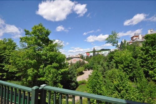 Guestroom View