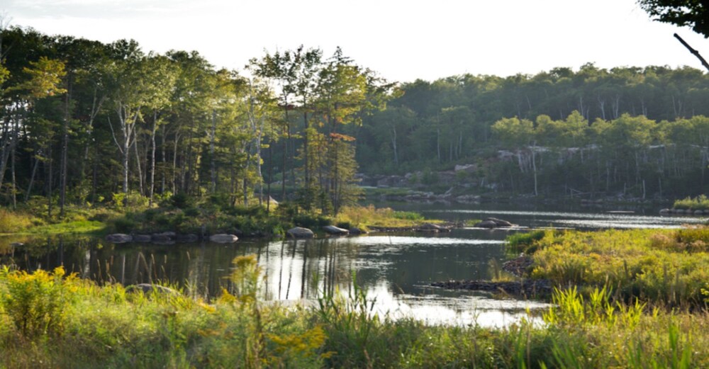 Lake View