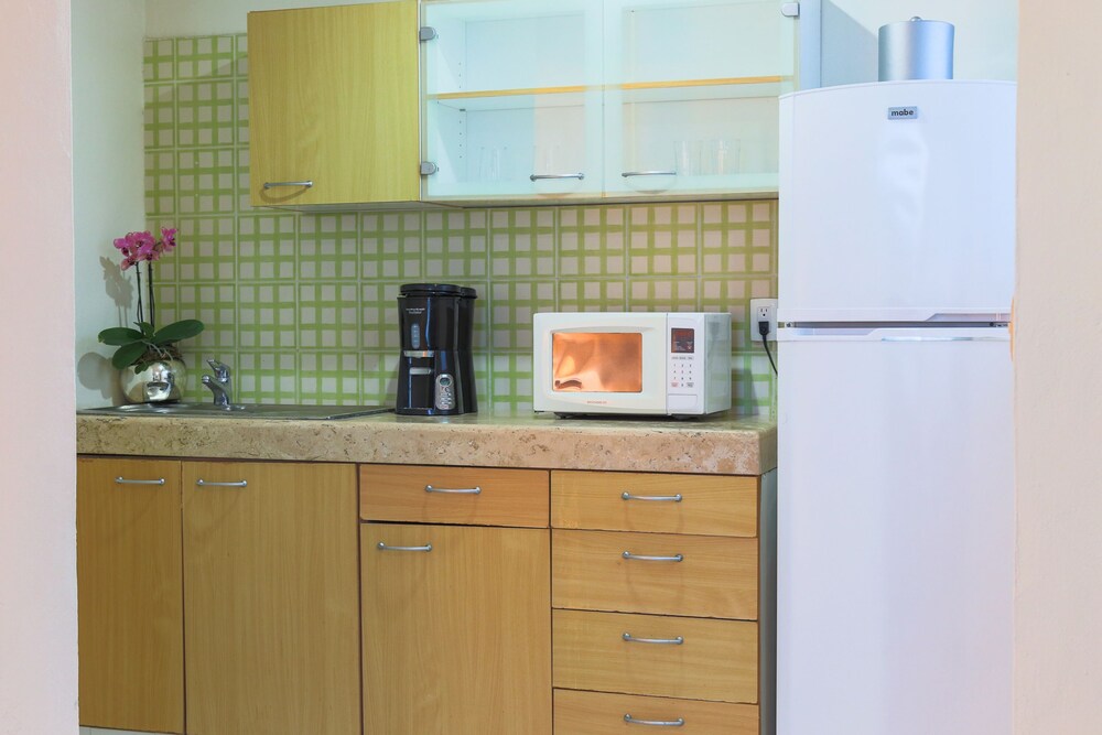 Master One Bedroom Suite with 1 Queen bed with Balcony - In-Room Kitchenette