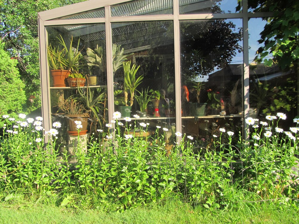 Jardin