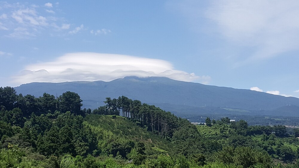 산 전망