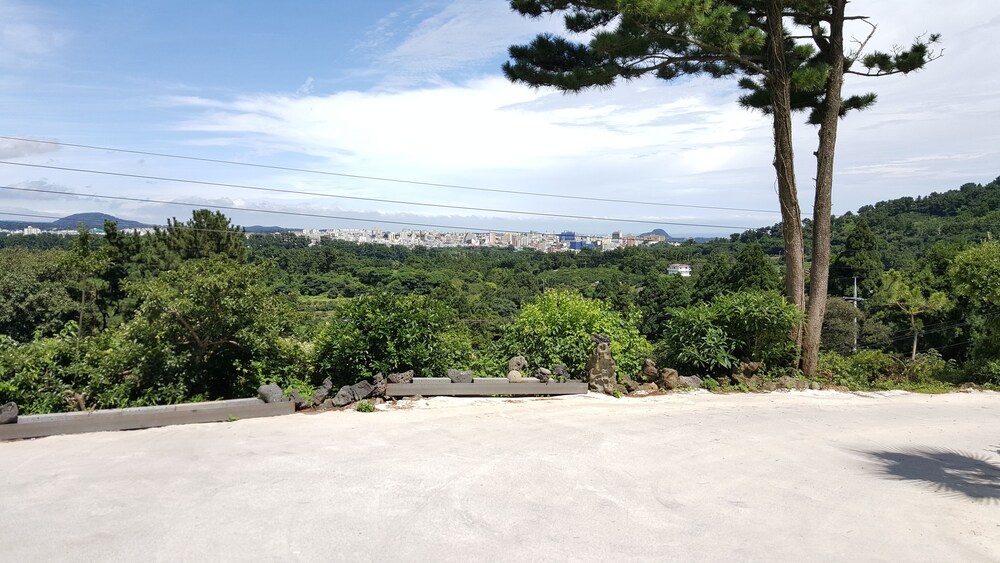 시내 전망