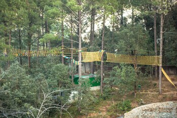 Ropes Course (Team Building)