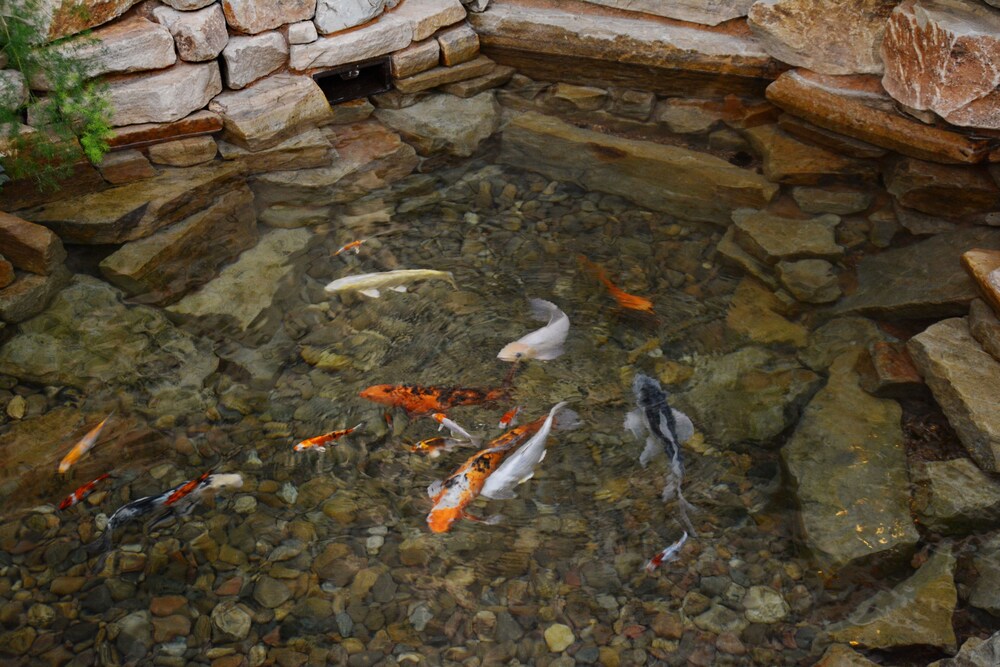 Fountain
