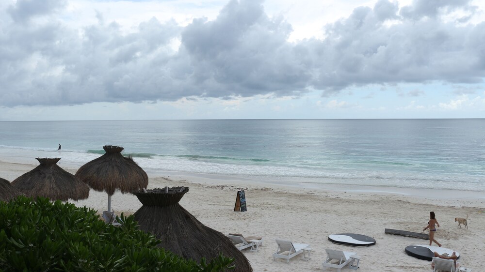 Beach/Ocean View