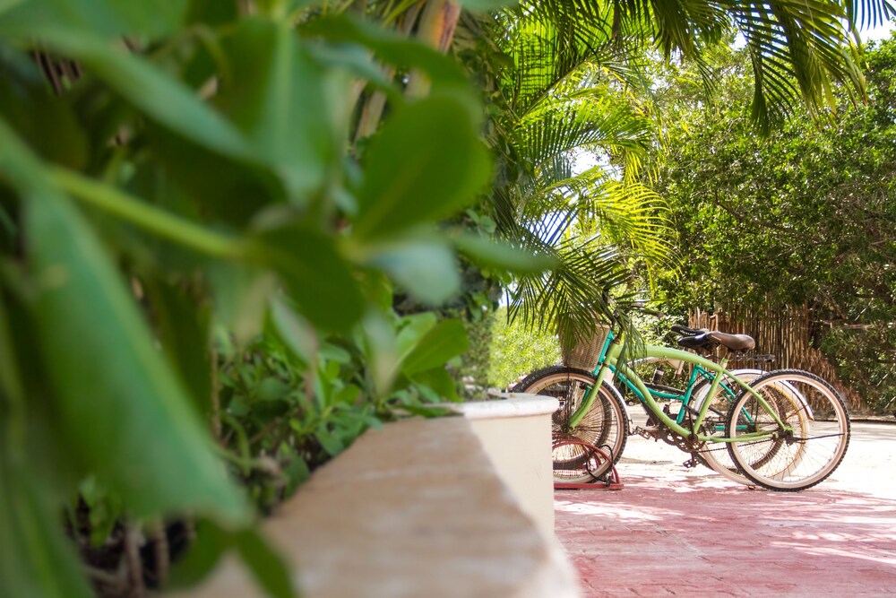 Bicycling