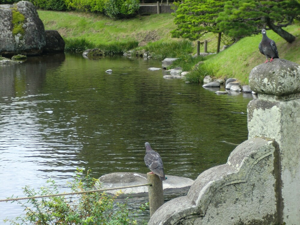 호수