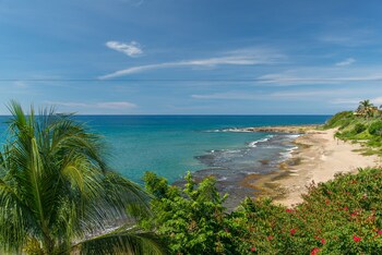 Beach/Ocean View