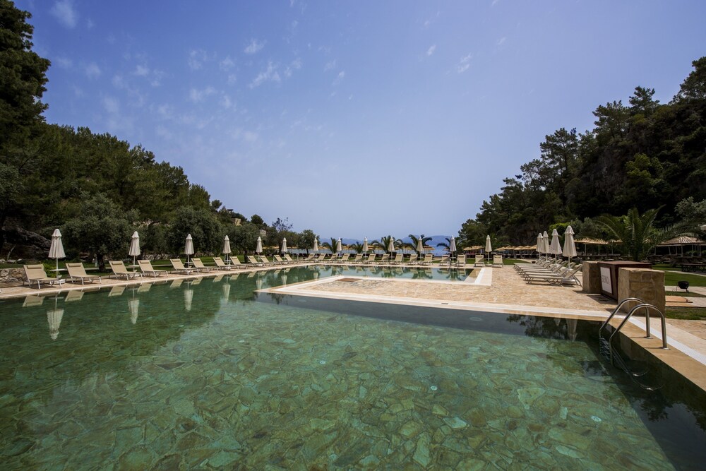 Naturpool