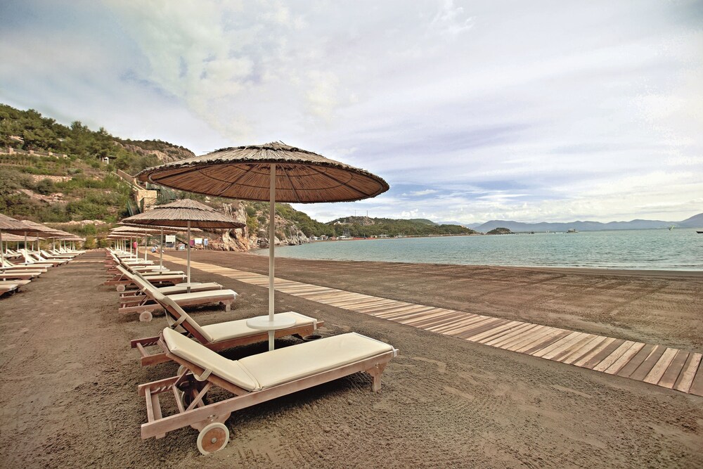 Strand