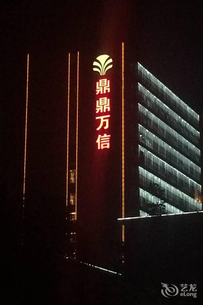 대표 사진