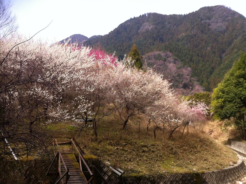 외부