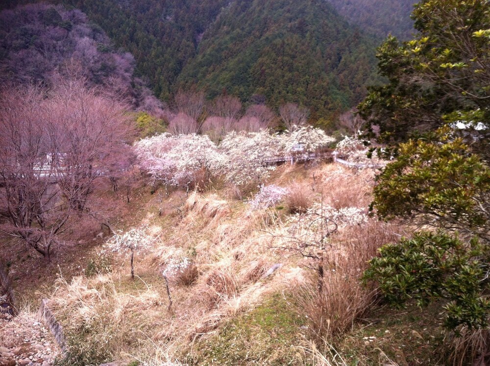 외부