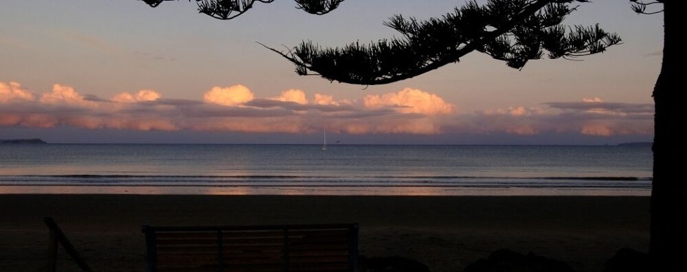Beach/Ocean View
