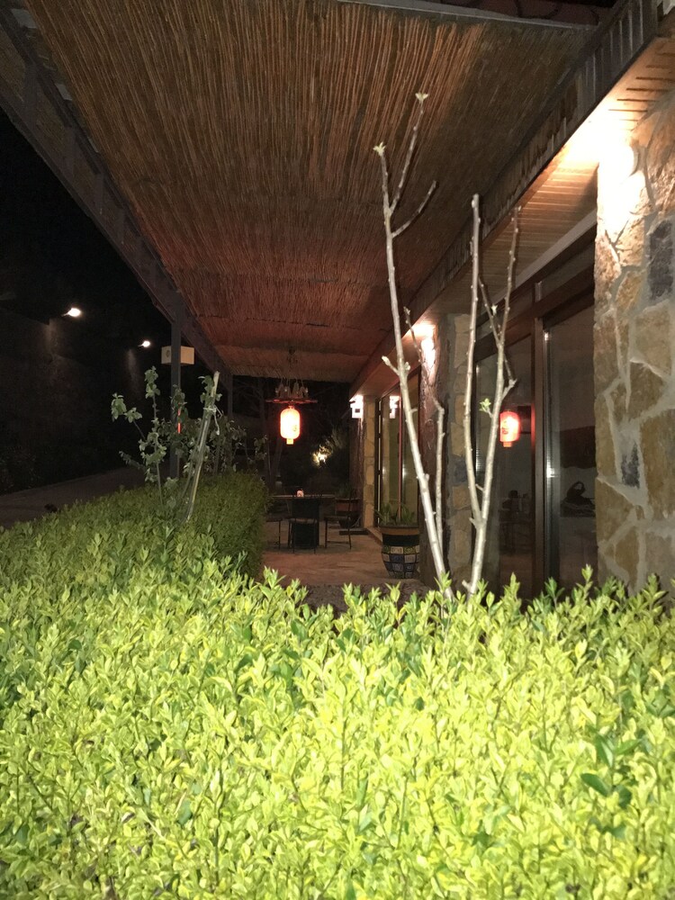 리셉션