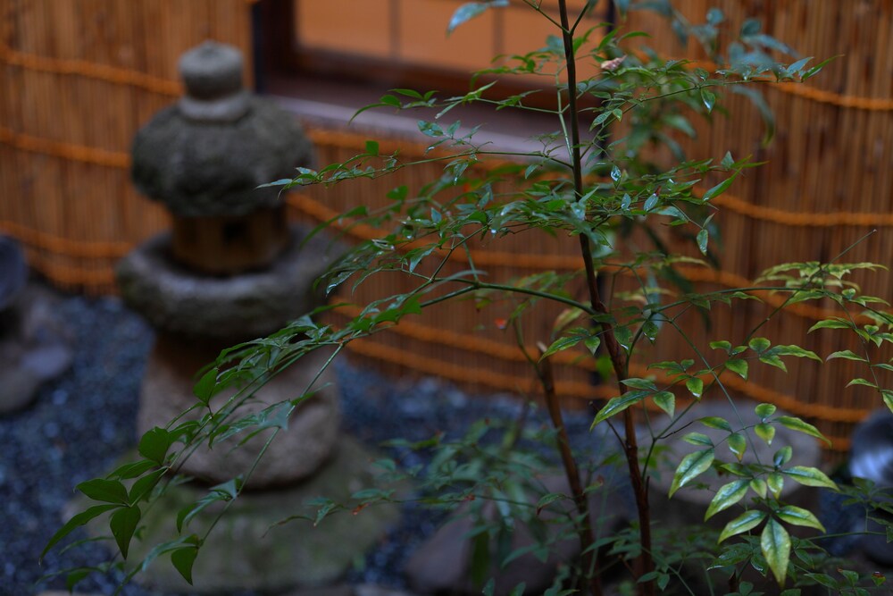 객실 전망 (트래디셔널룸 (Private Room with Inner Garden))