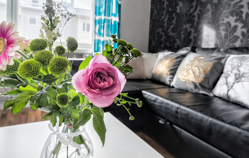 Studio - Hakaniemenkatu 5 - Guestroom