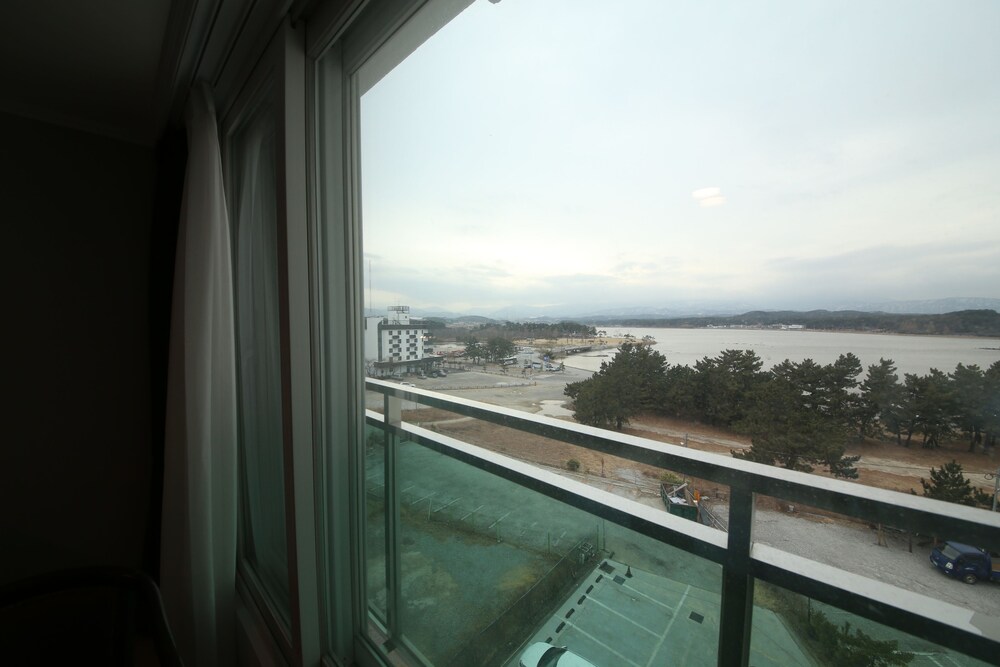 Guestroom View