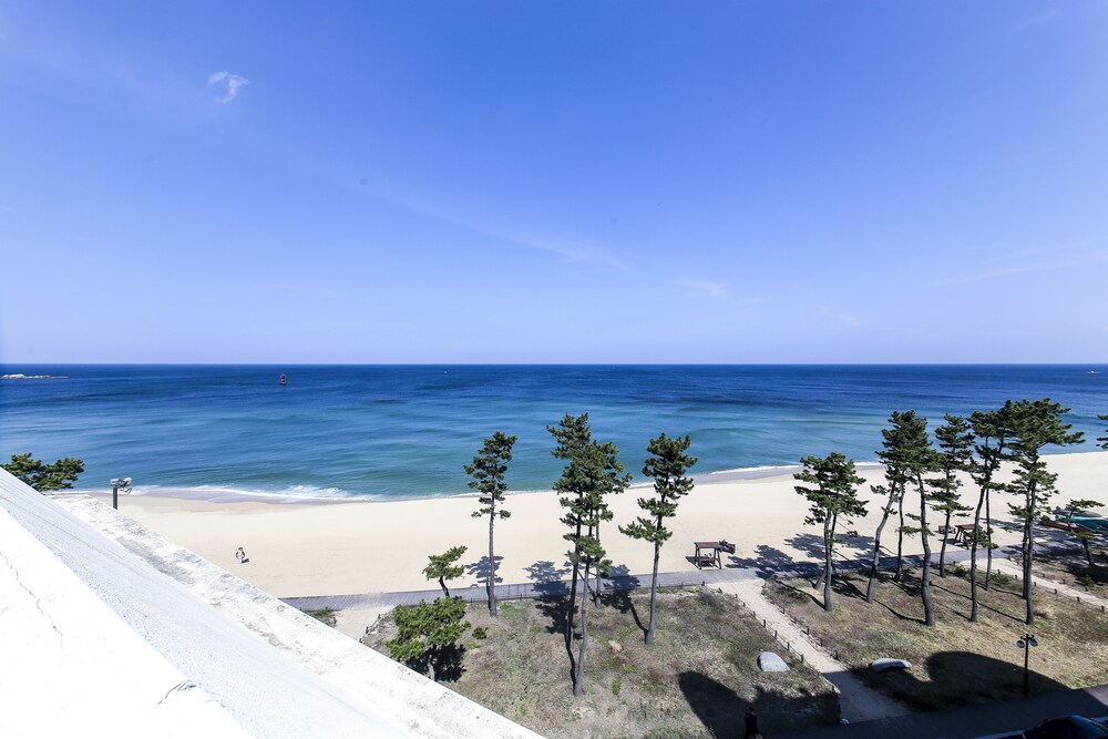 Guestroom View