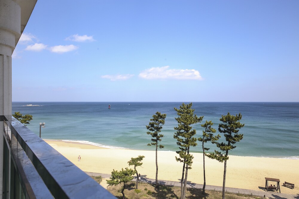 Guestroom View