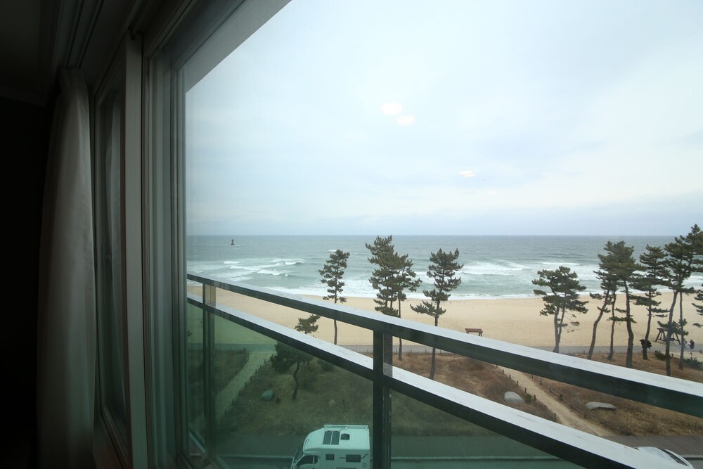 Guestroom View