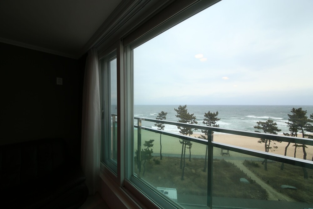 Guestroom View
