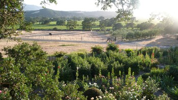 Guestroom View