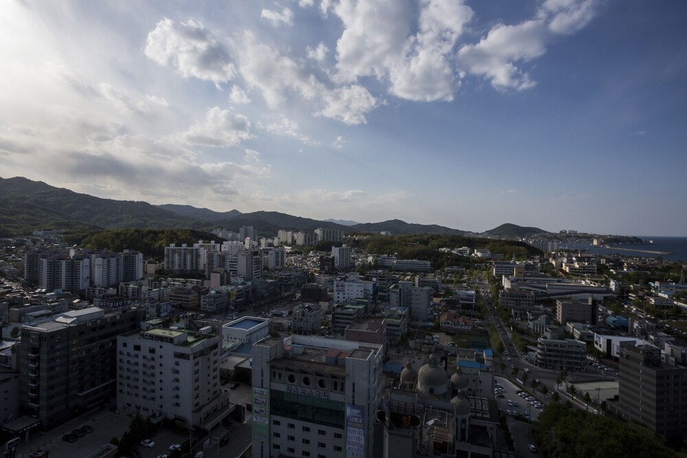 시내 전망