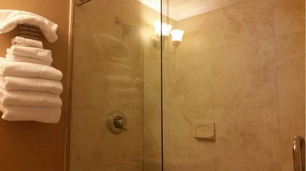 Deluxe Studio, 1 Queen Bed, Refrigerator & Microwave - Bathroom Shower