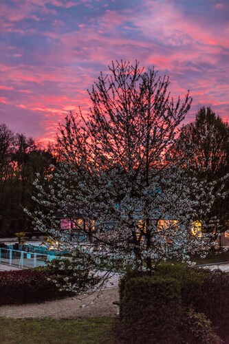 Novotel Fontainebleau Ury