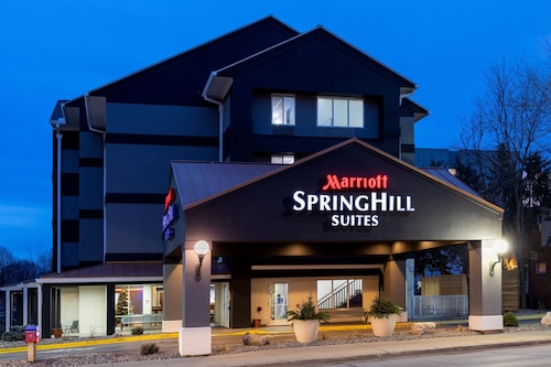 SpringHill Suites by Marriott Rochester-Mayo Clinic/St Marys