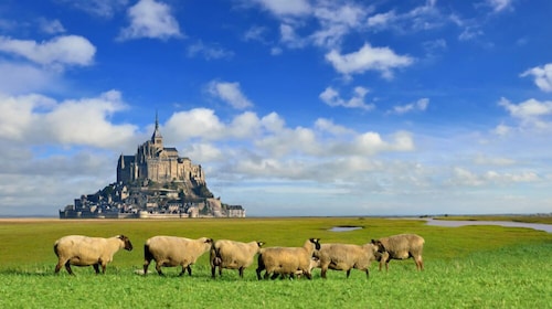 ibis Avranches Baie du Mont Saint Michel