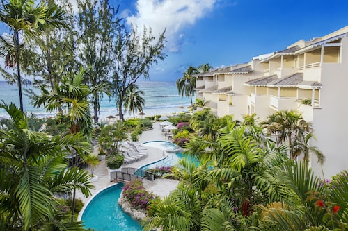 Bougainvillea Barbados