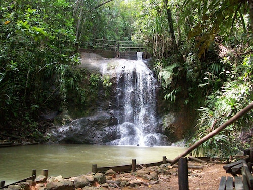 Rainforest Eco Lodge