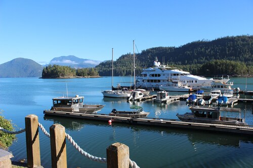 Backeddy Resort and Marina